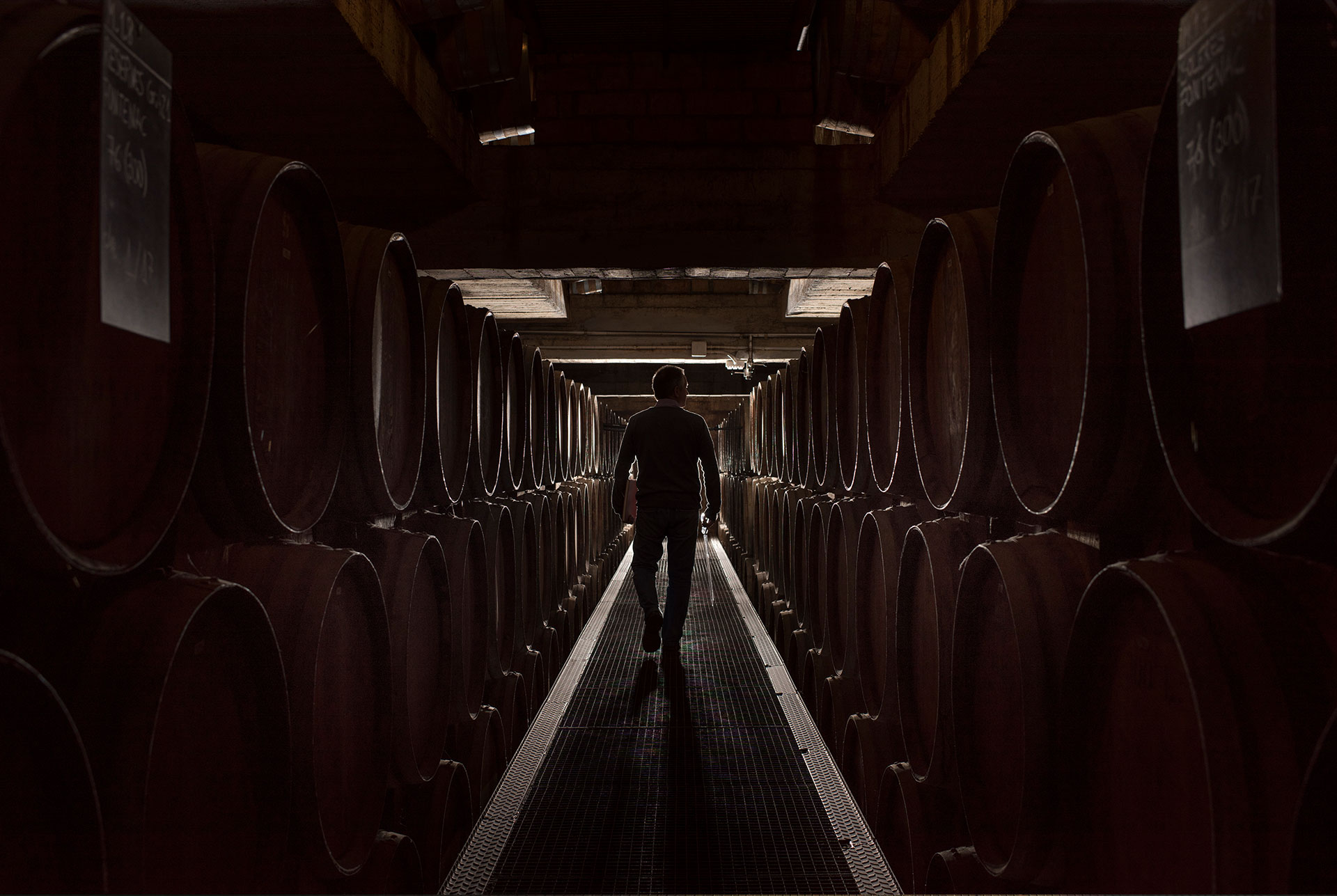 Torres Brandy, almost a century of experience in the art of making brandy.